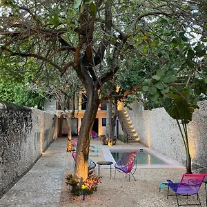 Hotelito Yum Kaax Appart hôtel
